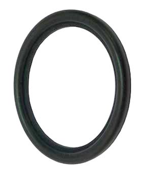 O-ring Ασηπτικό για ρακόρ DIN 11851